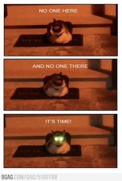 Прикрепленное изображение: 5100768.jpg